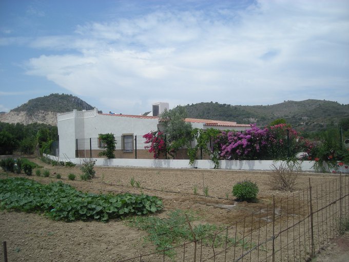 House in marjal area