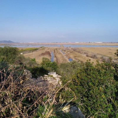 Suelo urbanizable en Monte pego (Denia)