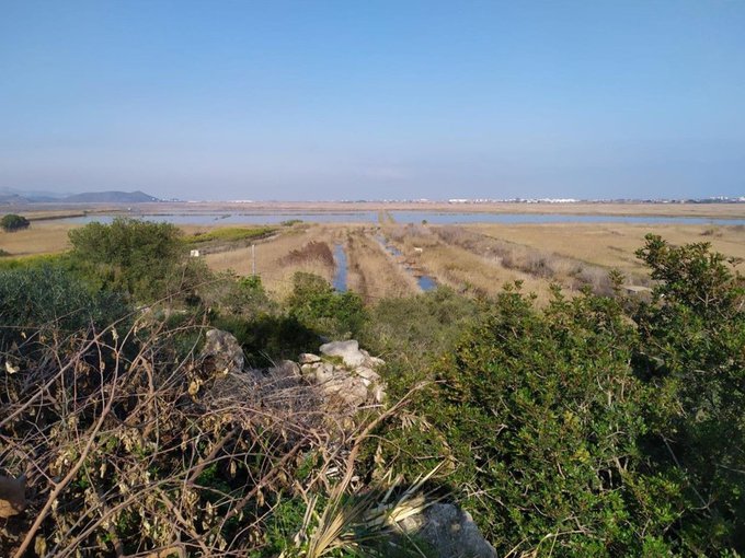 Suelo urbanizable en Monte pego (Denia)