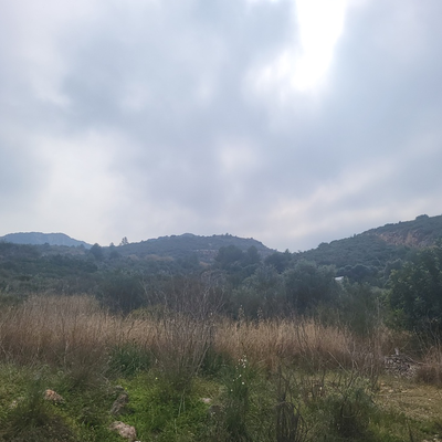 2 Parcelas en Penya Roja en suelo urbanizable