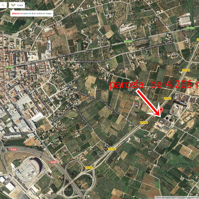 Parcela rústica de naranjos.