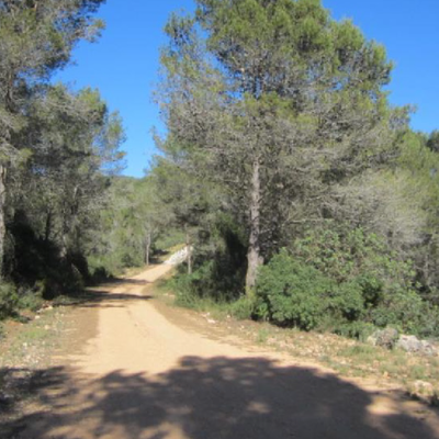 Suelo con una superficie de 242.832 m2, ubicado en la localidad de Adsubia