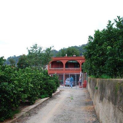 Casa de campo con 14000 m2 de naranjos.